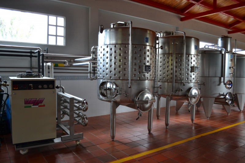 cave-GONFARON-min_wine_production_cantine_winery_drink_alcohol_vine_beverage-902036